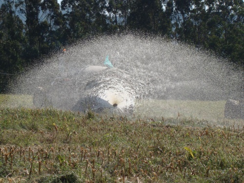 Os gandeiros do SLG s&uacute;manse &aacute; folga europea