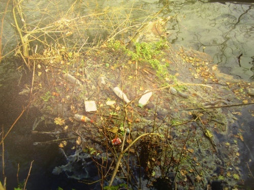 4&ordm; Premio: R&Iacute;O FONTELI&Ntilde;O, de Marta Pazos Gil