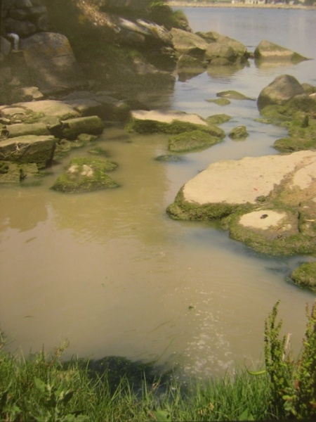 5&ordm; Premio: R&Iacute;O E R&Iacute;A CONTAMINADOS, de Iv&aacute;n Figueira Mart&iacute;nez